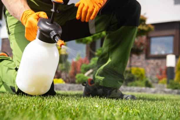 Best Best Pest Control Companies  in Mledgevle, IL