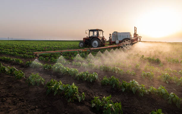 Best Commercial Pest Control Services  in Mledgevle, IL