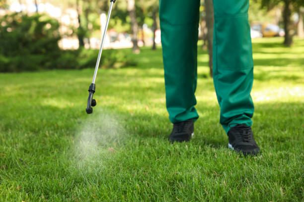 Best Bed Bug Extermination  in Mledgevle, IL
