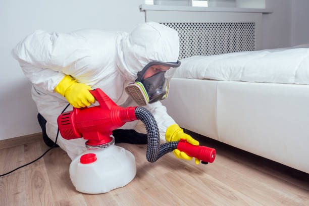 Best Insect Control  in Mledgevle, IL