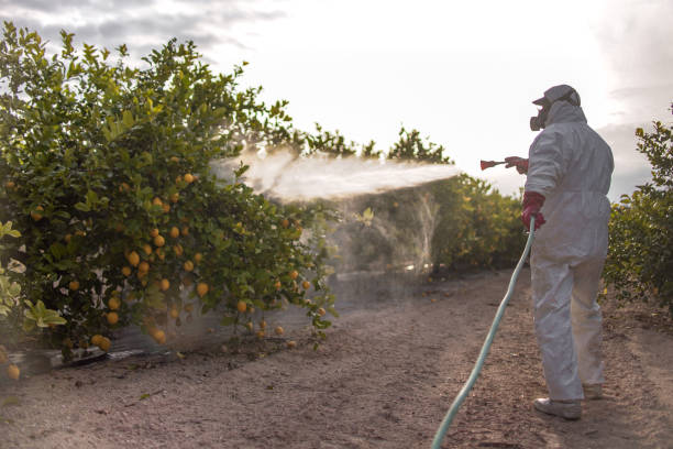 Best Pest Control Near Me  in Mledgevle, IL