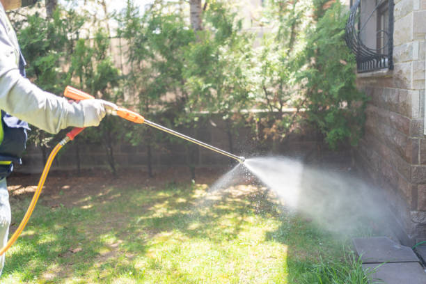 Best Wasp Removal Services  in Mledgevle, IL