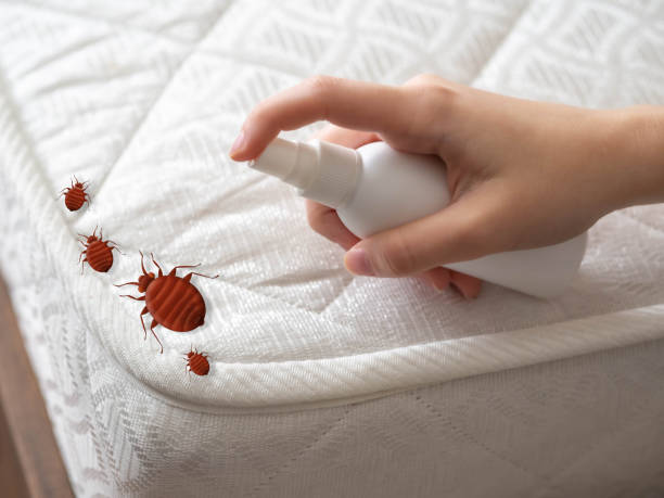 Best Pest Control for Homes  in Mledgevle, IL