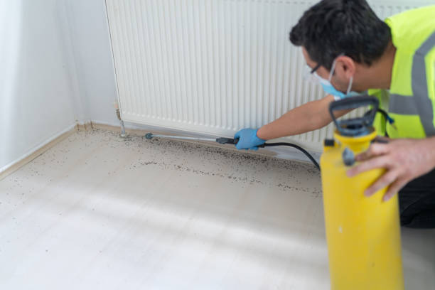 Best Cockroach Control Services  in Mledgevle, IL