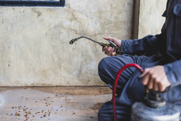 Best Pest Control Near Me  in Mledgevle, IL